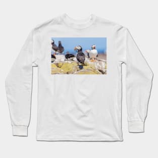 Atlantic Puffin with Sand Eels Long Sleeve T-Shirt